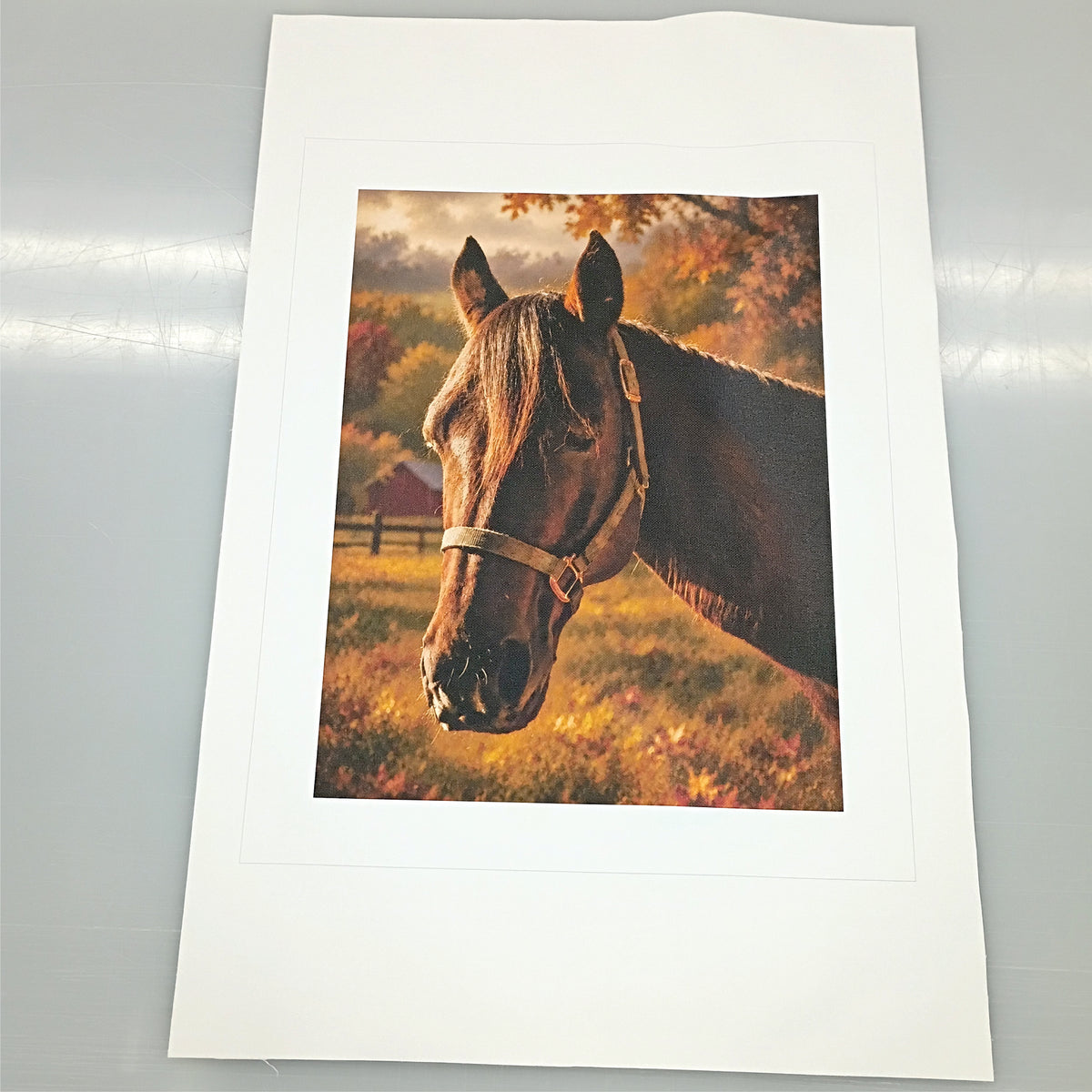 Custom Printed Satin Canvas (No Stretcher Bars)