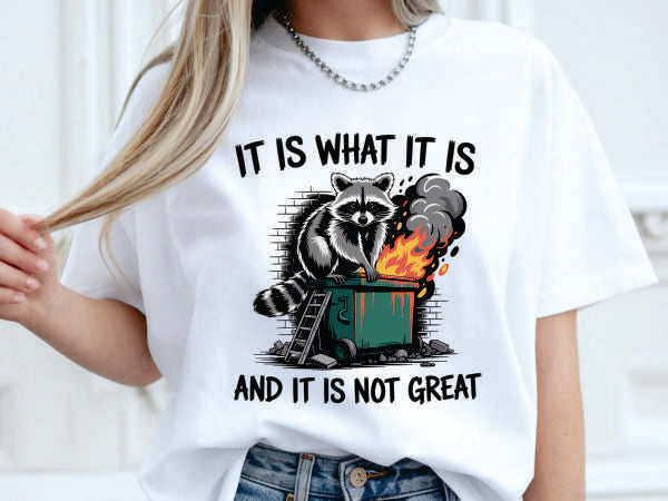 It Is What It Is Raccoon (CCS DTF Transfer Only)