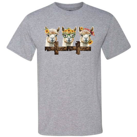 Three Llamas (CCS DTF Transfer Only)