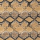 Cobra 12x15 HTV - CraftCutterSupply.com