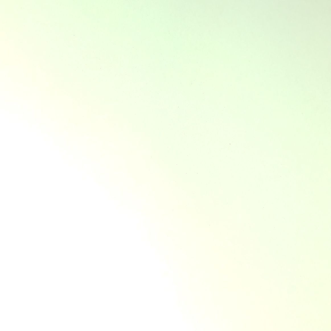 Siser EasyWeed Electric HTV White Opal