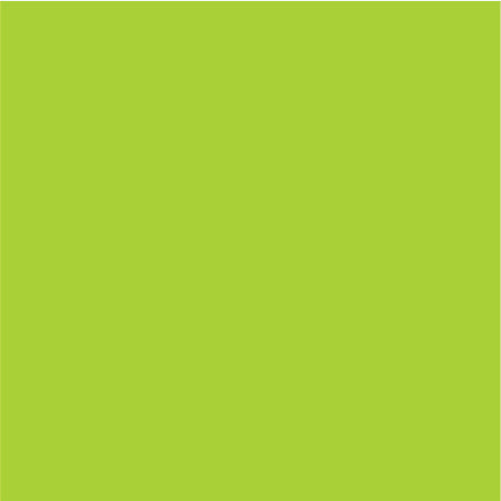 Siser® EasyWeed® Lime HTV - CraftCutterSupply.com