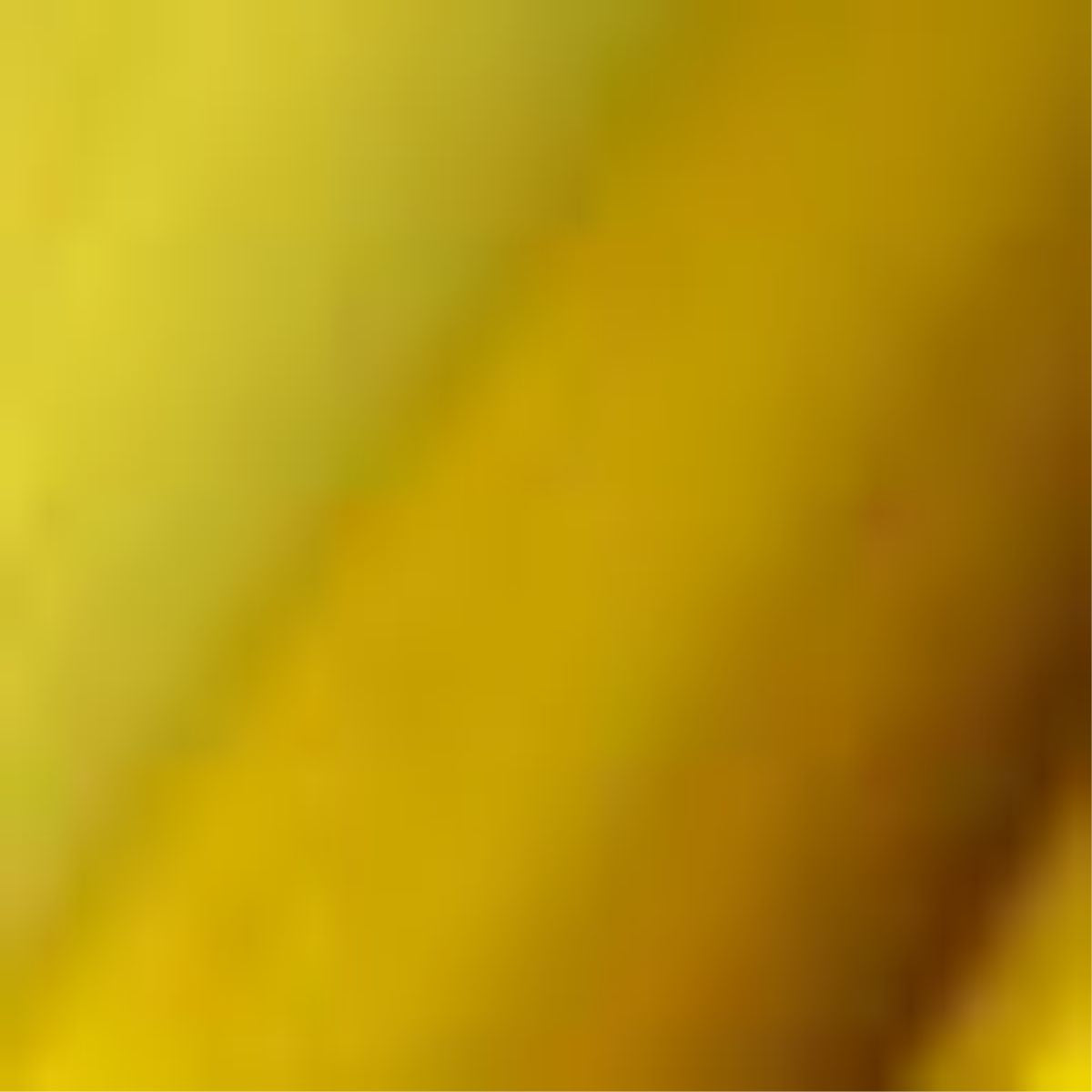 DecoFilm Brilliant Gold 19x12