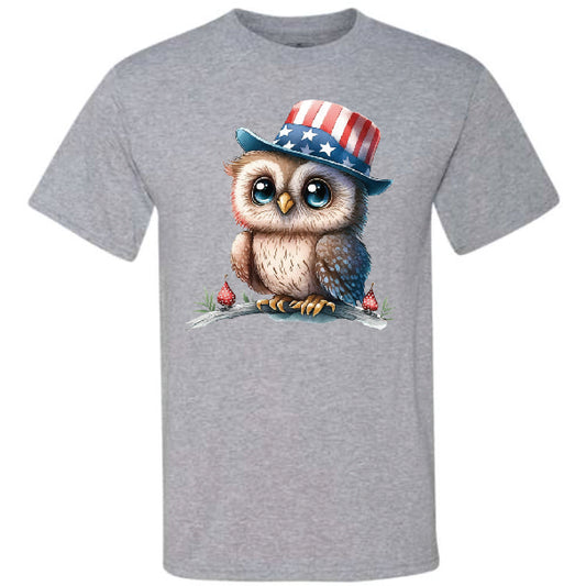 Cute 4th Of July Owl 2 (CCS DTF Transfer Only)