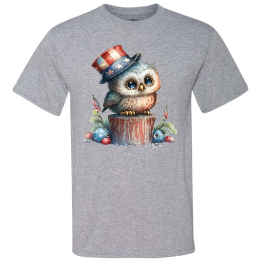 Cute 4th Of July Owl (CCS DTF Transfer Only)