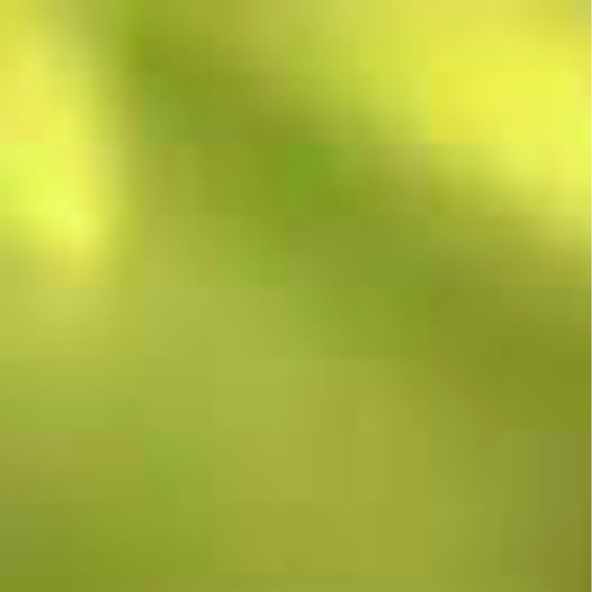 Siser® EasyWeed® Electric HTV Lime - CraftCutterSupply.com