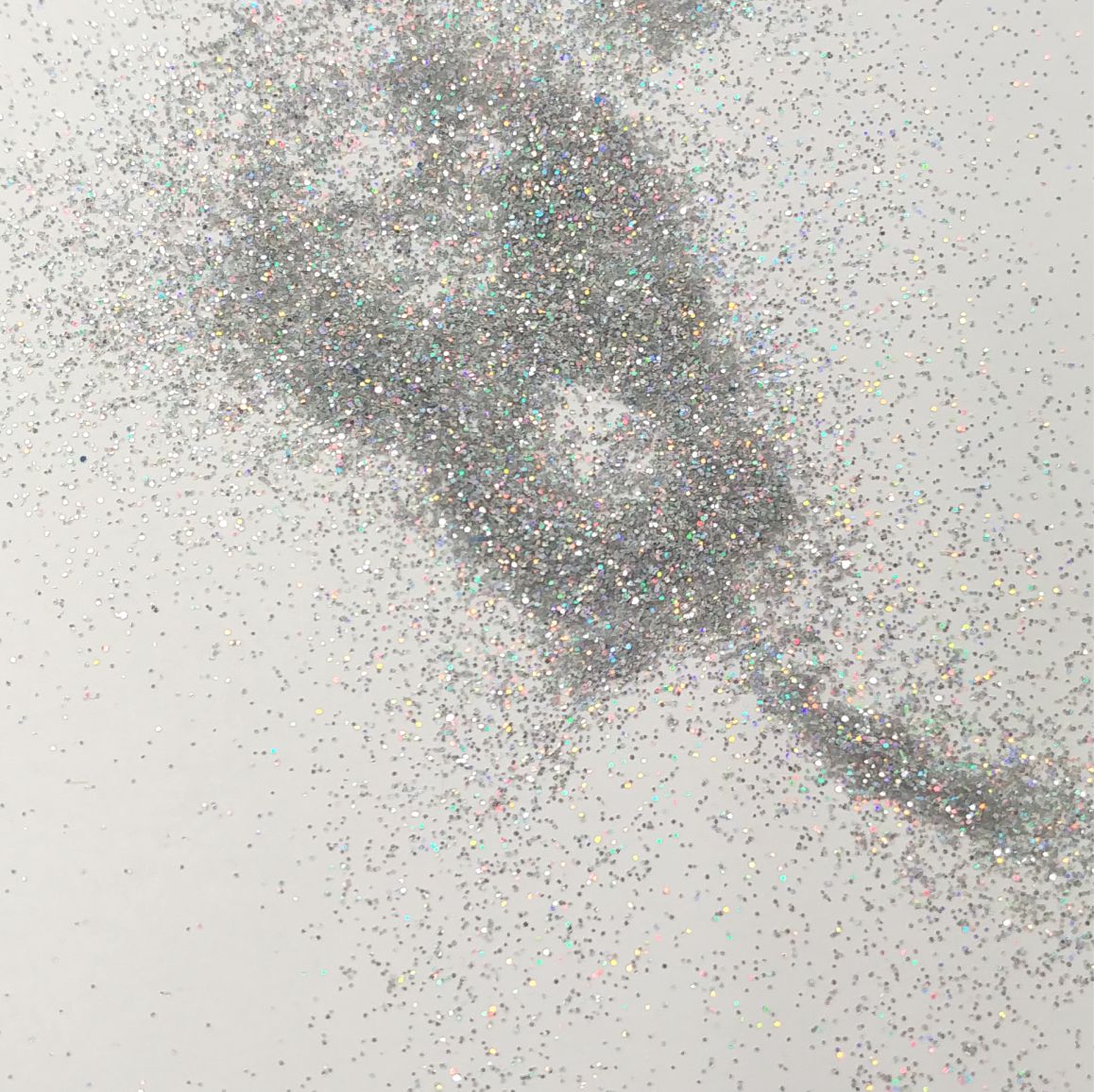 Extra Fine Loose Glitter 1oz Bag-Silver Holo
