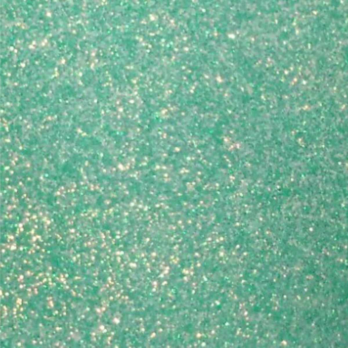 NEON Glitter PACK FLUORESCENT Ultra Fine Loose Glitter -  in