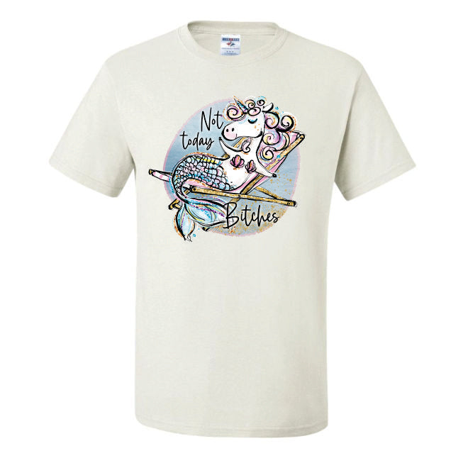 Not Today Bitches (CCS DTF Transfer Only)