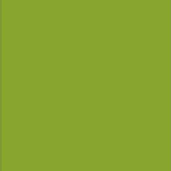 ThermoFlex® Plus HTV Apple Green - CraftCutterSupply.com