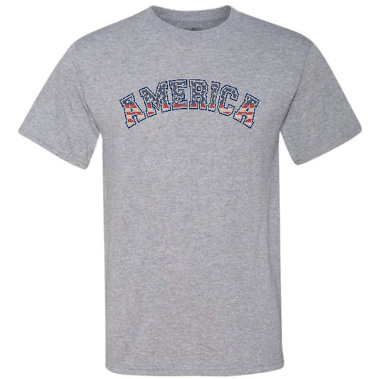 America Varsity Distressed (CCS DTF Transfer Only)