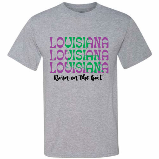 Louisiana Outline (CCS DTF Transfer Only)
