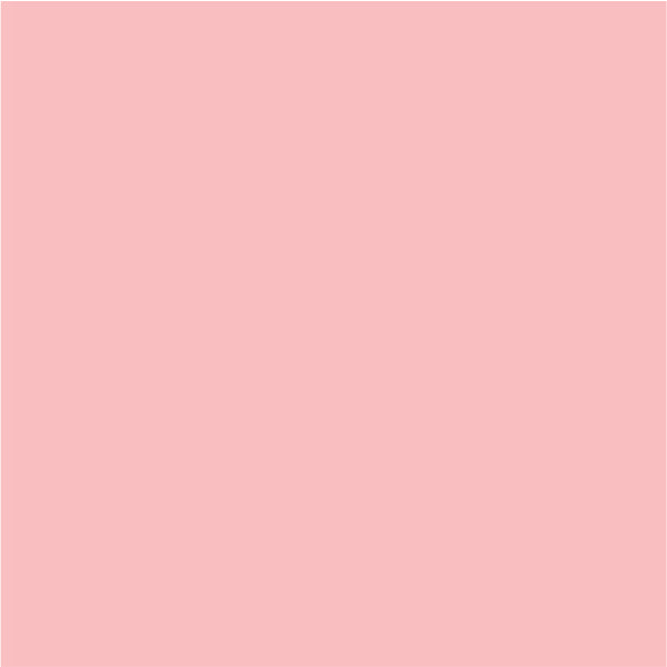 ThermoFlex Plus HTV Light Pink Choose Your Length