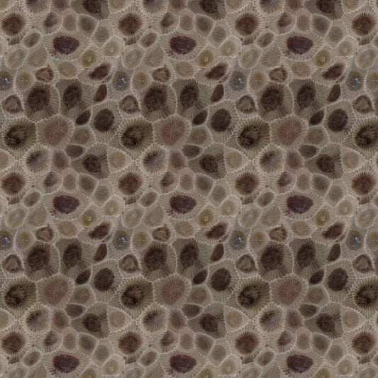 Petoskey Stone 12x12 - CraftCutterSupply.com